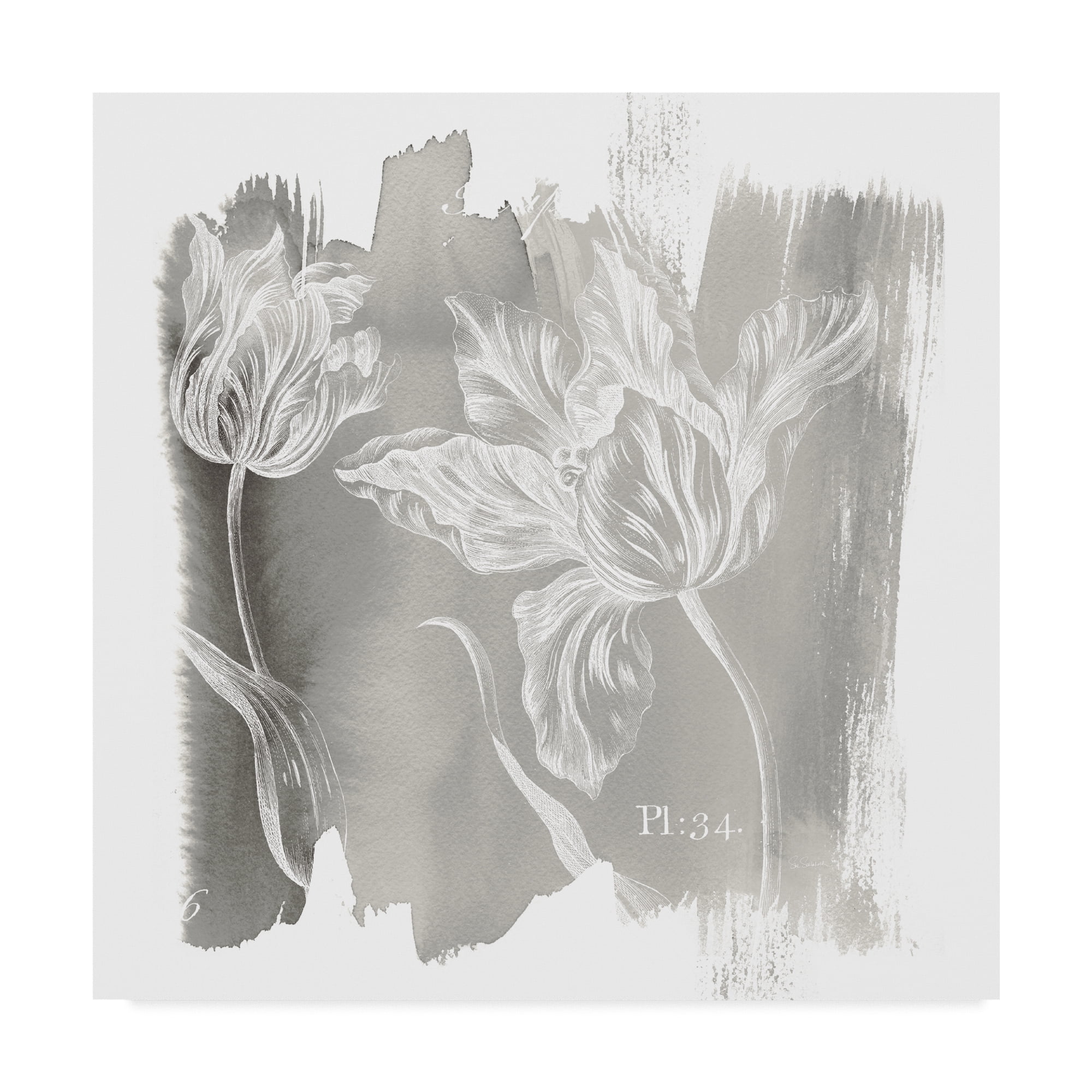 Trademark Fine Art 'Water Wash I Neutral' Canvas Art by Sue Schlabach