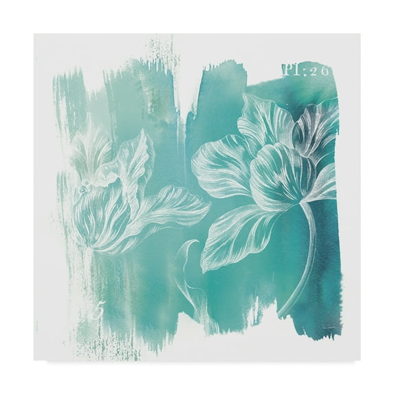 Trademark Fine Art 'Water Wash II' Canvas Art by Sue Schlabach