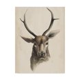 thumbnail image 1 of Trademark Fine Art 'Watercolor Animal Study I' Canvas Art by Grace Popp, 1 of 4