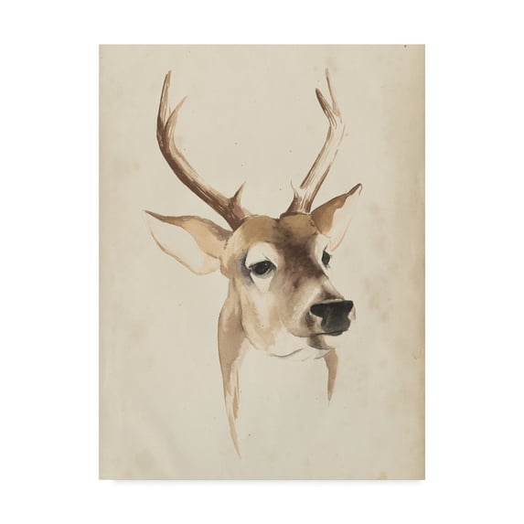 Trademark Fine Art 'Watercolor Animal Study IV' Canvas Art by Grace Popp