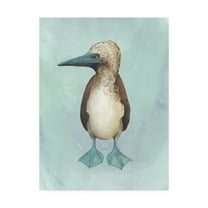 Trademark Fine Art 'Watercolor Beach Bird I' Canvas Art by Grace Popp