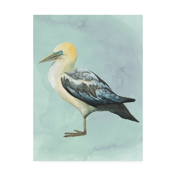 Trademark Fine Art 'Watercolor Beach Bird III' Canvas Art by Grace Popp