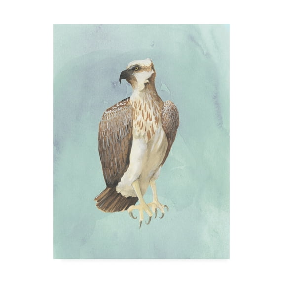 Trademark Fine Art 'Watercolor Beach Bird IV' Canvas Art by Grace Popp
