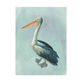 thumbnail image 1 of Trademark Fine Art 'Watercolor Beach Bird VI' Canvas Art by Grace Popp, 1 of 3