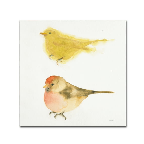 Trademark Fine Art 'Watercolor Birds I Sq' Canvas Art by Shirley Novak
