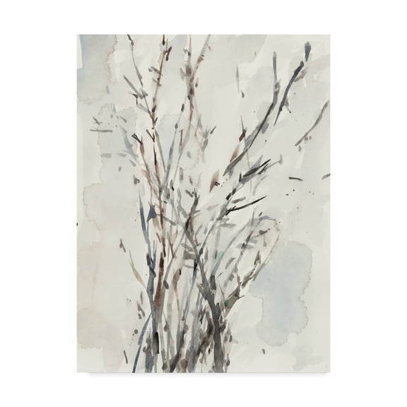 Trademark Fine Art 'Watercolor Branches I' Canvas Art by Samuel Dixon