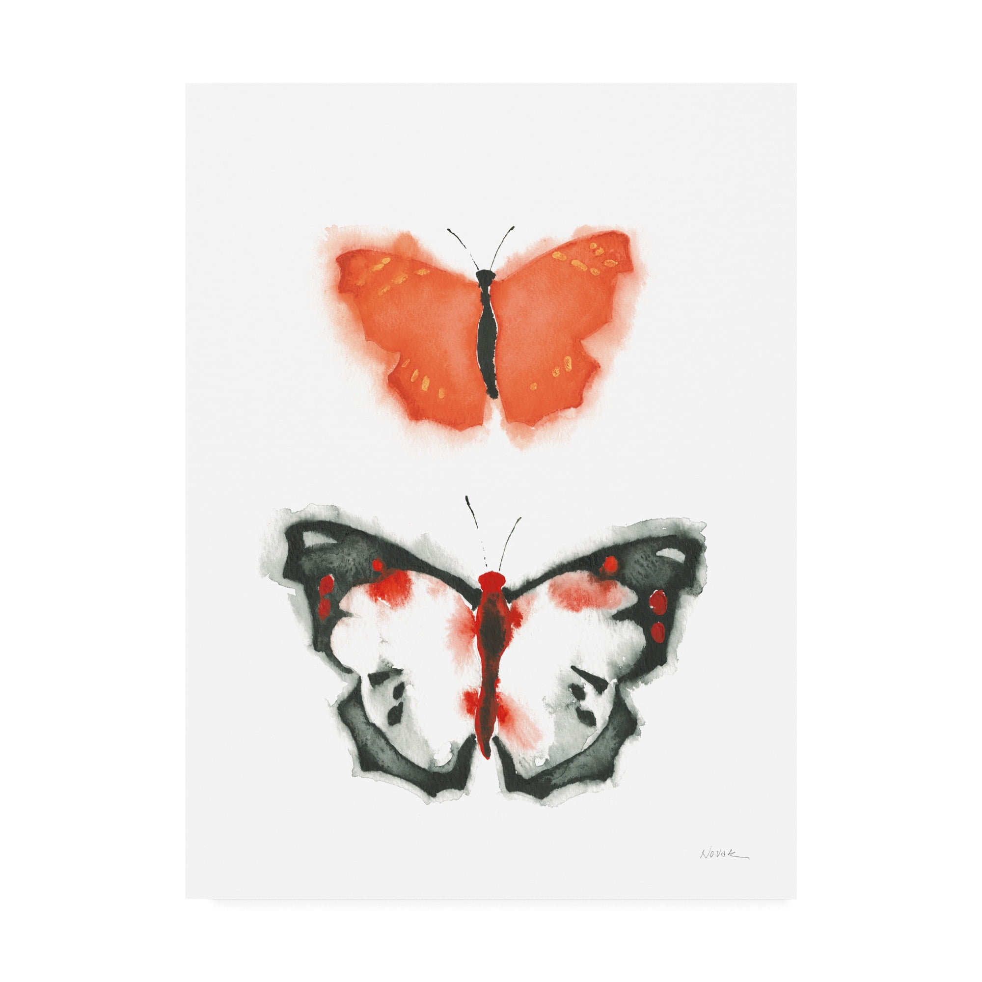 Trademark Fine Art 'Watercolor Butterflies III' Canvas Art by Shirley Novak