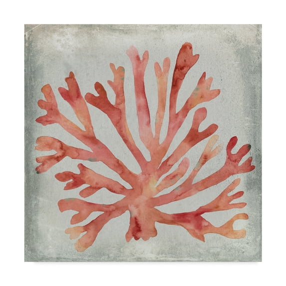 Trademark Fine Art 'Watercolor Coral III' Canvas Art by Megan Meagher