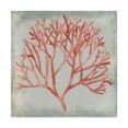 thumbnail image 1 of Trademark Fine Art 'Watercolor Coral IV' Canvas Art by Megan Meagher, 1 of 4