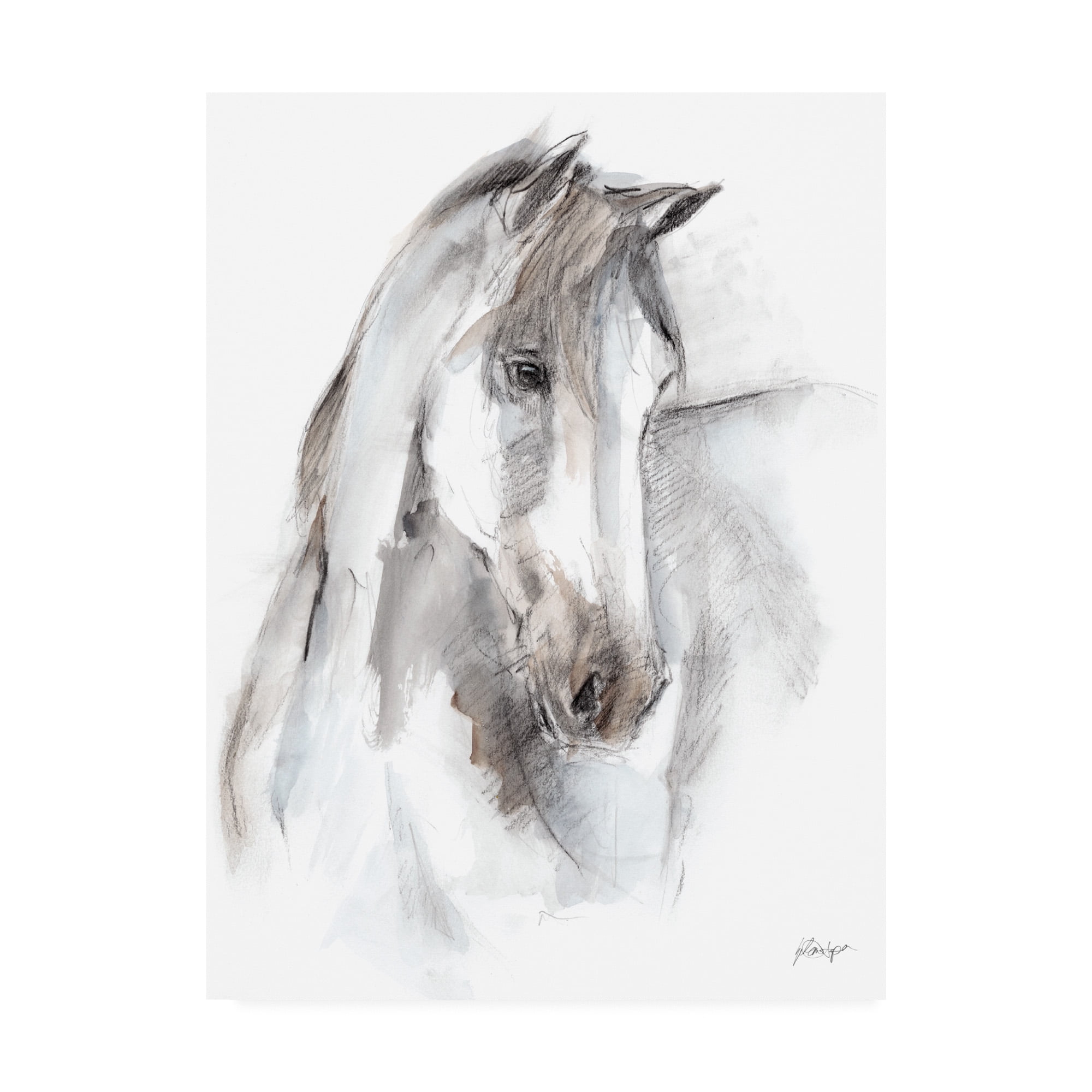 Trademark Fine Art 'Watercolor Equine Study I' Canvas Art by Ethan Harper
