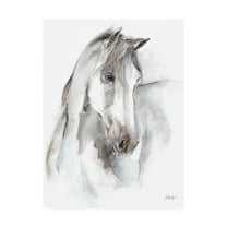 Trademark Fine Art 'Watercolor Equine Study I' Canvas Art by Ethan Harper