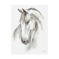 thumbnail image 1 of Trademark Fine Art 'Watercolor Equine Study II' Canvas Art by Ethan Harper, 1 of 3