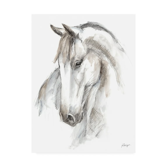 Trademark Fine Art 'Watercolor Equine Study II' Canvas Art by Ethan Harper
