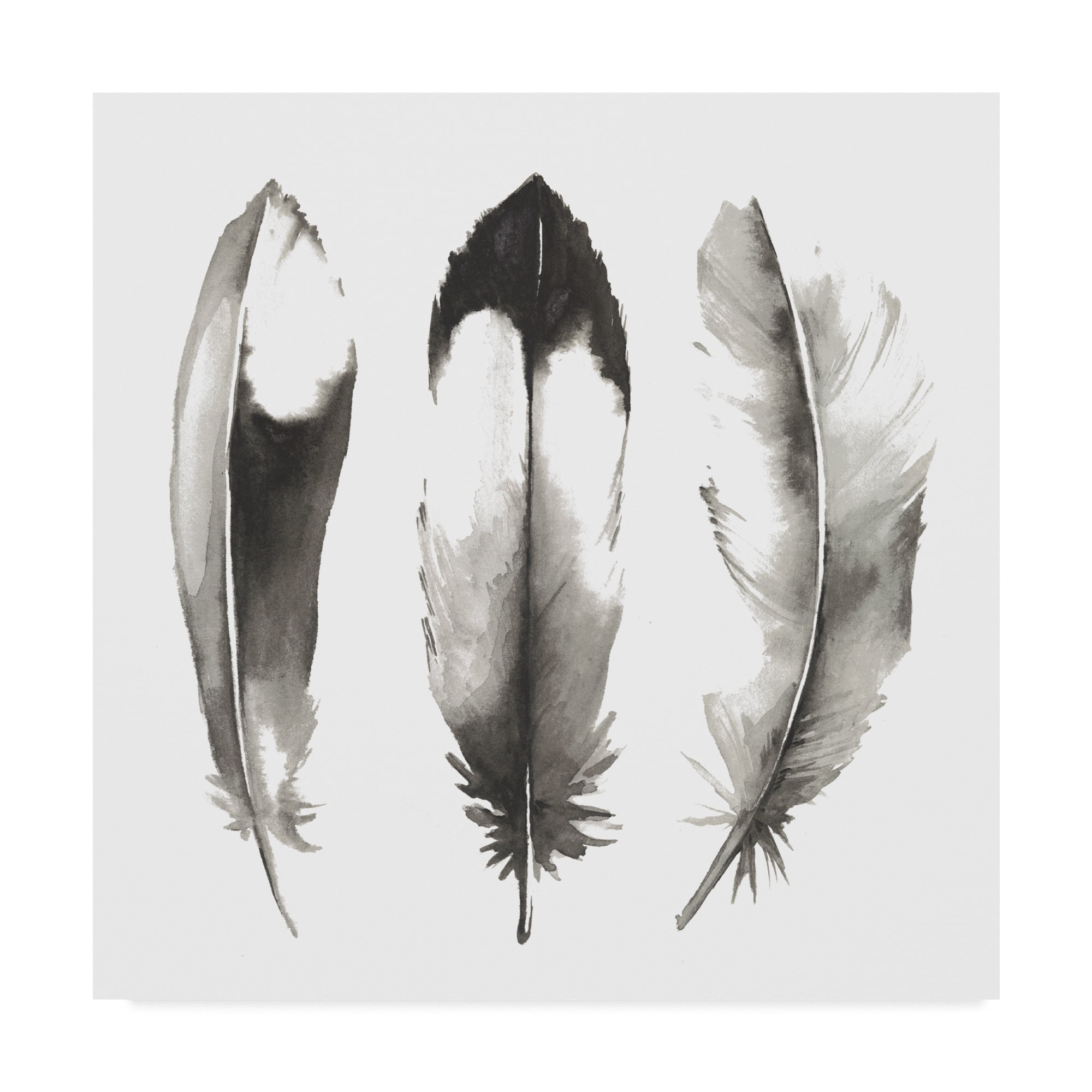 Trademark Fine Art 'Watercolor Feathers II' Canvas Art by Grace Popp