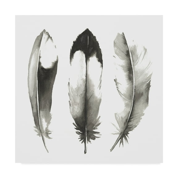 Trademark Fine Art 'Watercolor Feathers II' Canvas Art by Grace Popp