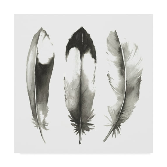 Trademark Fine Art 'Watercolor Feathers II' Canvas Art by Grace Popp