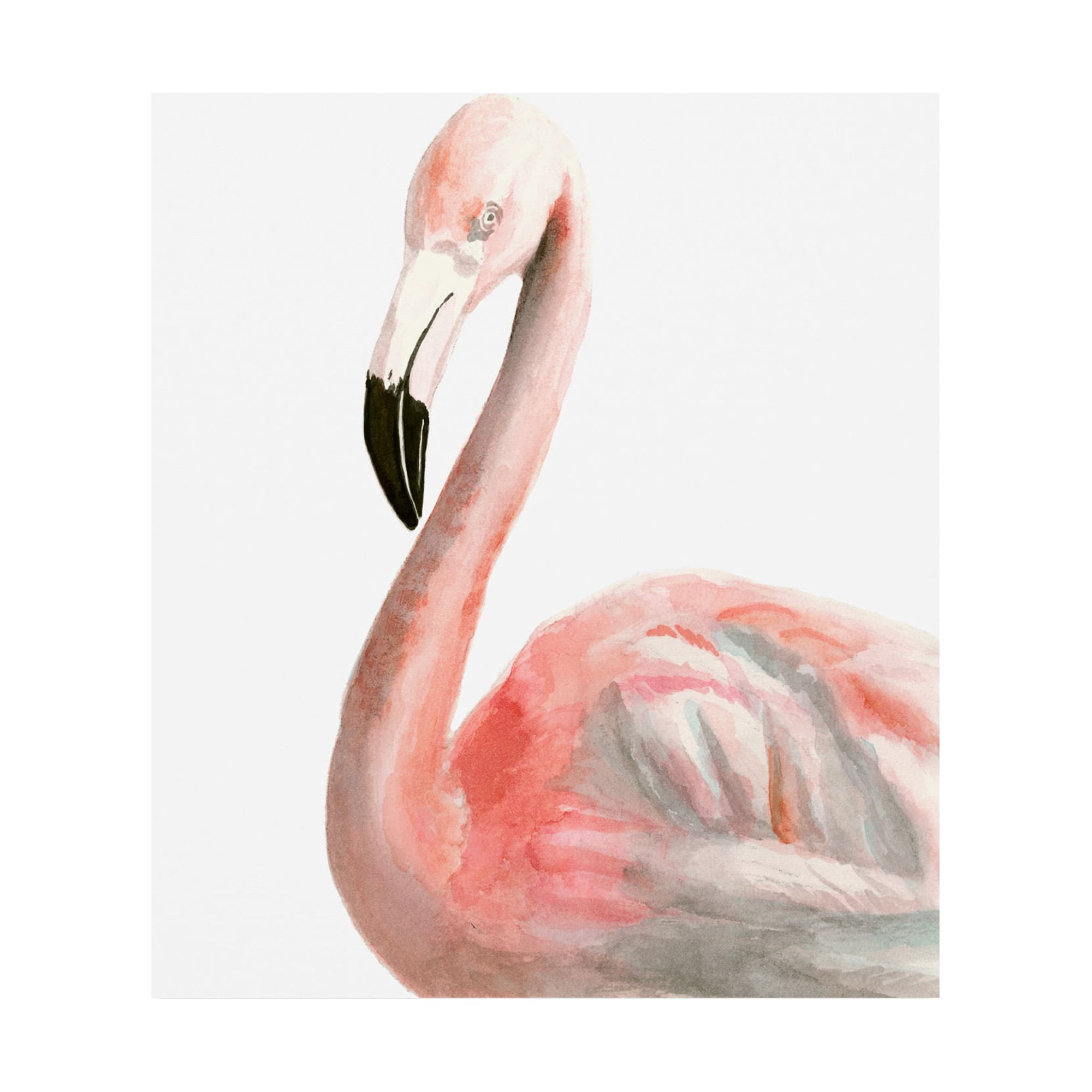 Trademark Fine Art 'Watercolor Flamingo' Canvas Art by Naomi McCavitt
