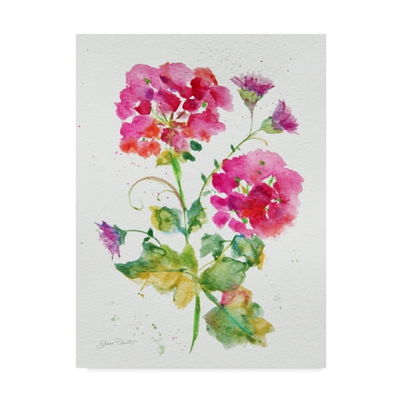 Trademark Fine Art 'Watercolor Flowers 1' Canvas Art by Jean Plout