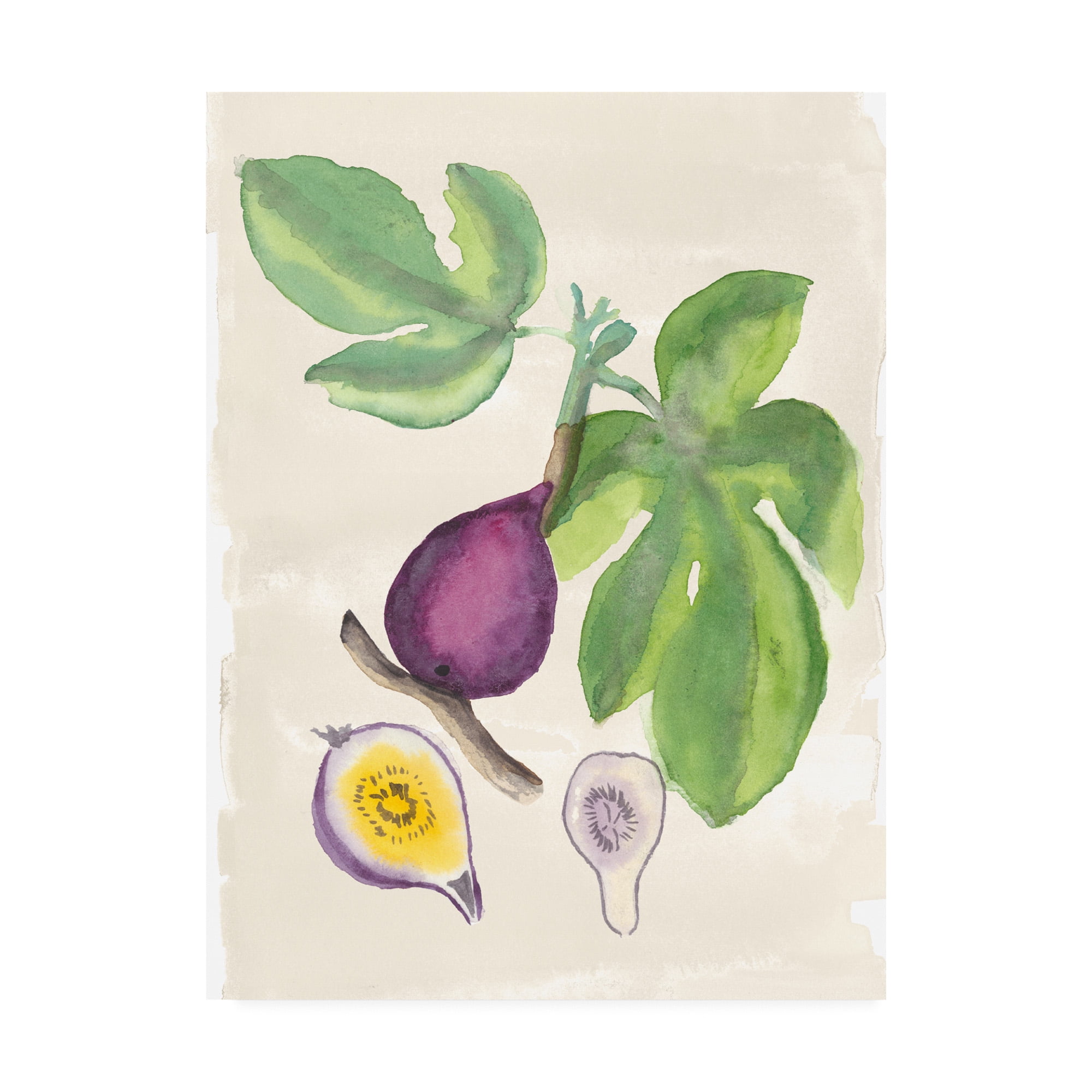 Trademark Fine Art 'Watercolor Fruit I' Canvas Art by Naomi Mccavitt