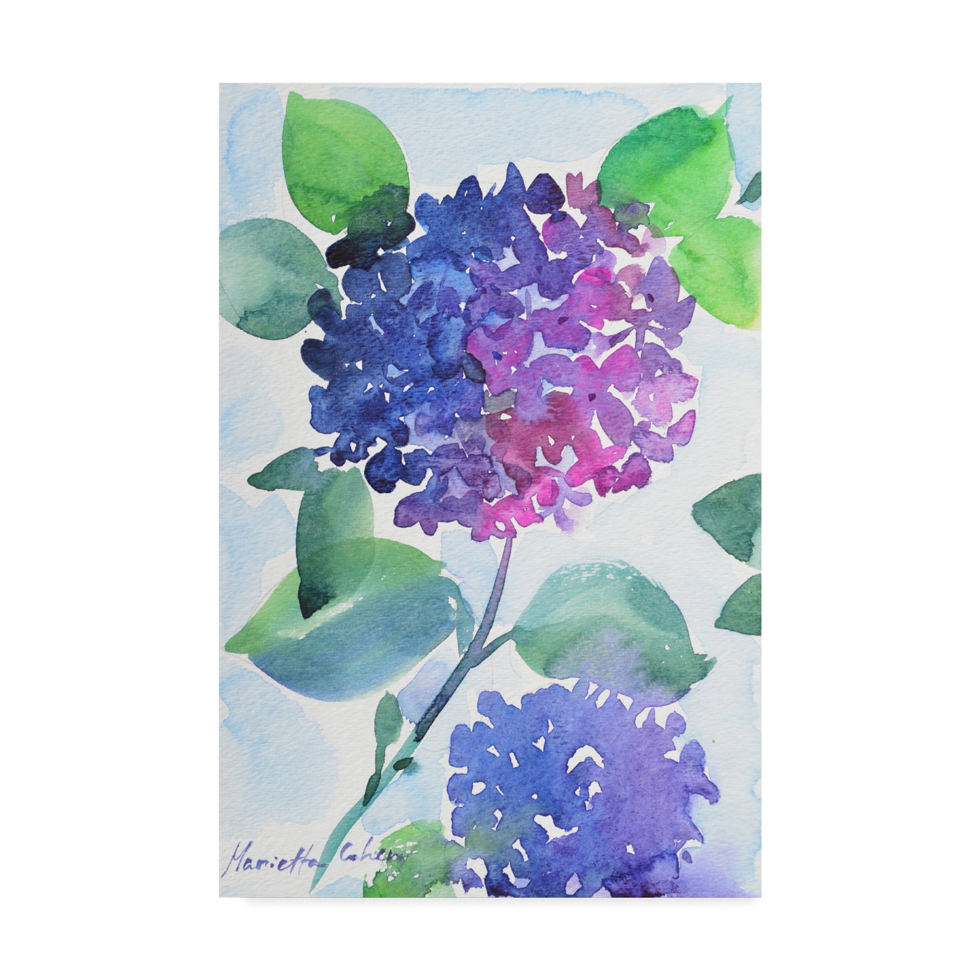 Trademark Fine Art 'Watercolor Hortensia 1' Canvas Art by Marietta Cohen Art And Design