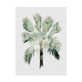 thumbnail image 1 of Trademark Fine Art 'Watercolor Palm of the Tropics I' Canvas Art by Grace Popp, 1 of 4