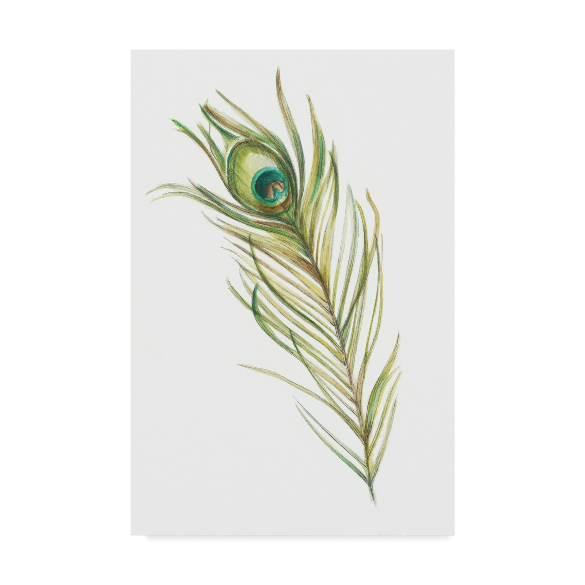 Trademark Fine Art 'Watercolor Peacock Feather I' Canvas Art by Ethan Harper