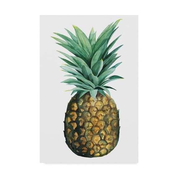 Trademark Fine Art 'Watercolor Pineapple II' Canvas Art by Grace Popp