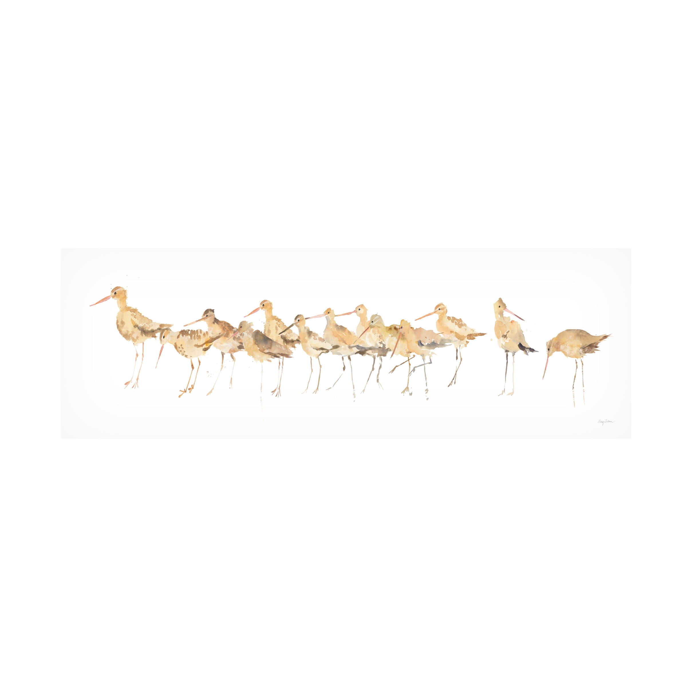 Trademark Fine Art 'Watercolor Sandpipers Panel' Canvas Art by Avery Tillmon