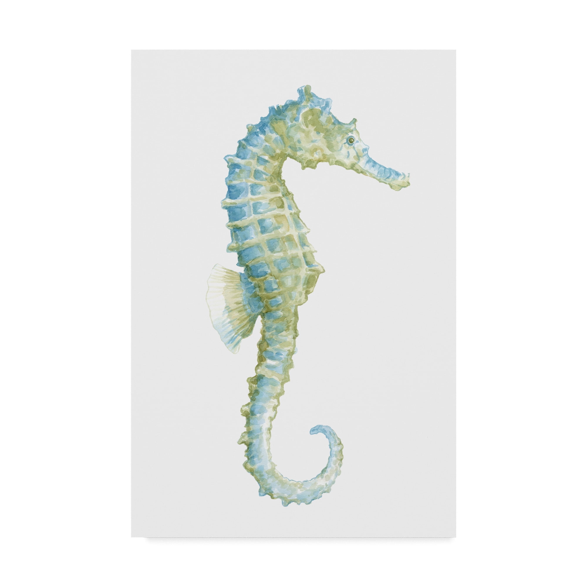 Trademark Fine Art 'Watercolor Seahorse I' Canvas Art by Megan Meagher