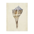 thumbnail image 1 of Trademark Fine Art 'Watercolor Seashell I' Canvas Art by Melissa Wang, 1 of 3