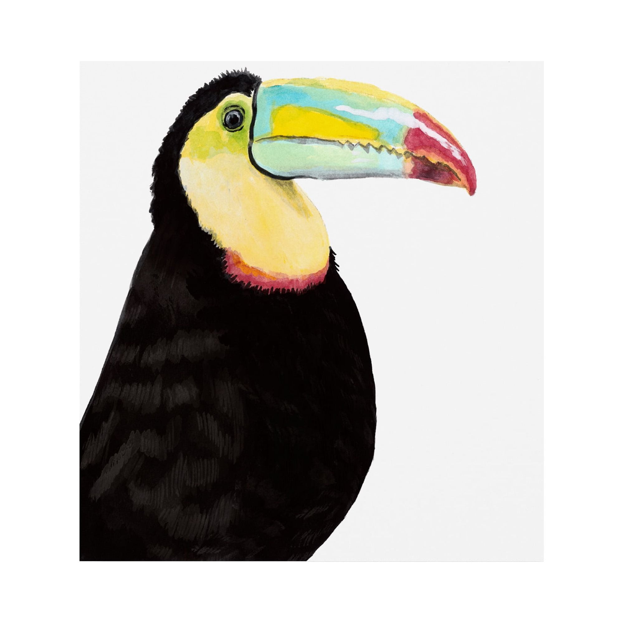 Trademark Fine Art 'Watercolor Toucan' Canvas Art by Naomi McCavitt