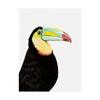 Trademark Fine Art 'Watercolor Toucan' Canvas Art by Naomi McCavitt