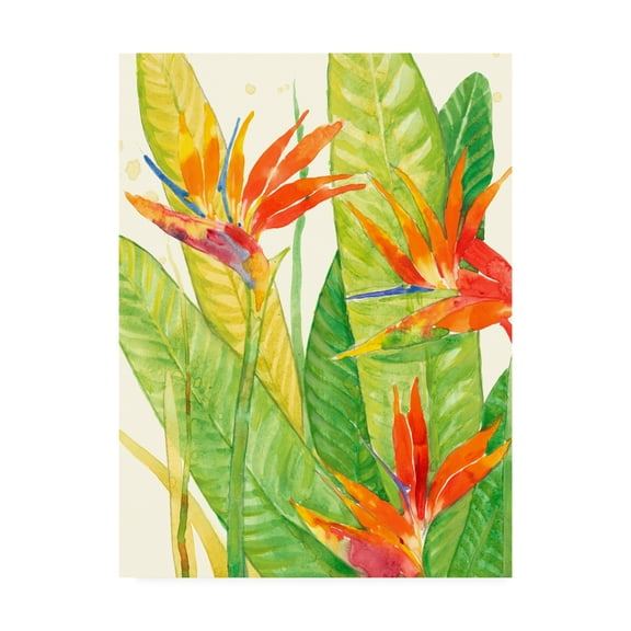 Trademark Fine Art 'Watercolor Tropical Flowers III' Canvas Art by Tim OToole