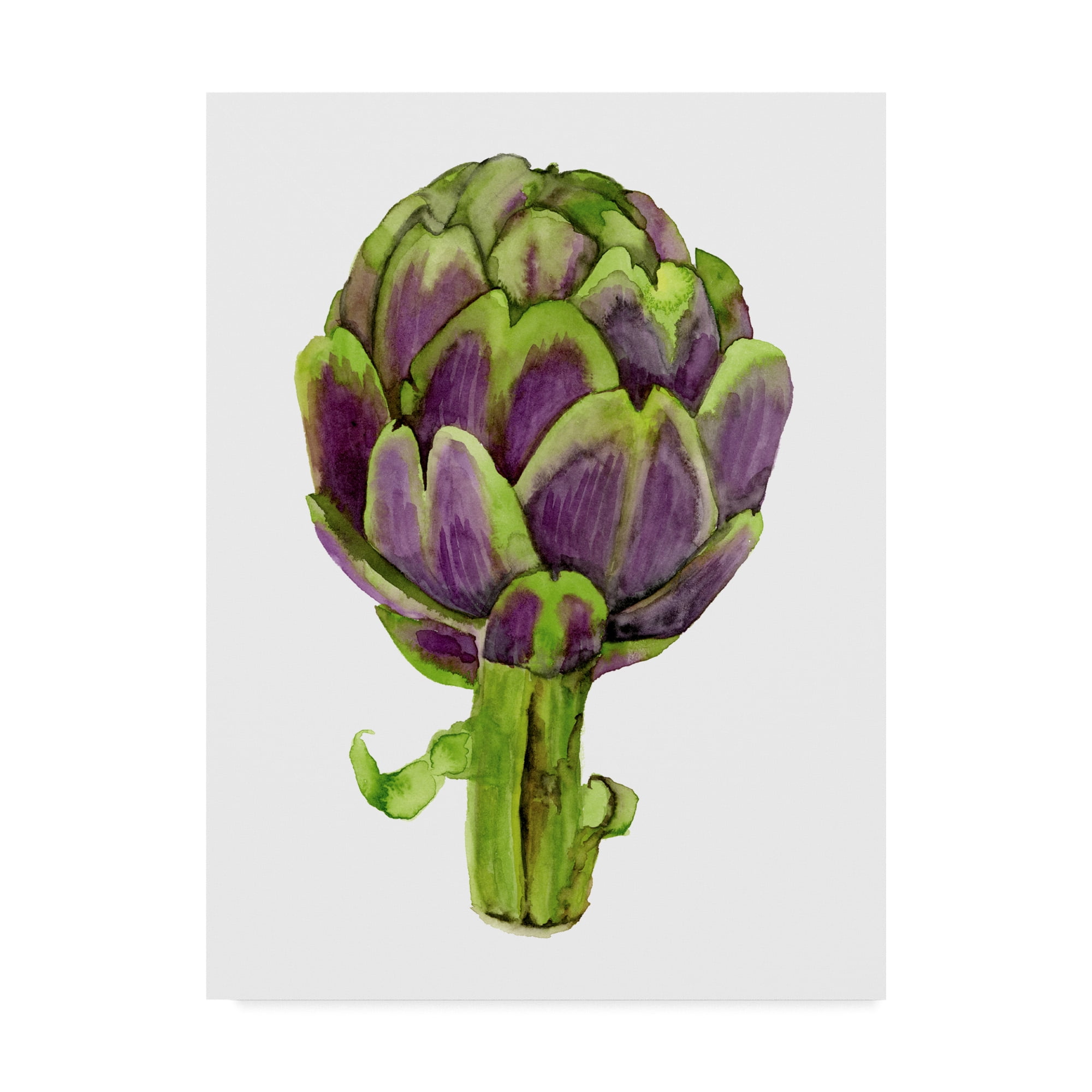 Trademark Fine Art 'Watercolor Veggie I' Canvas Art by Naomi McCavitt