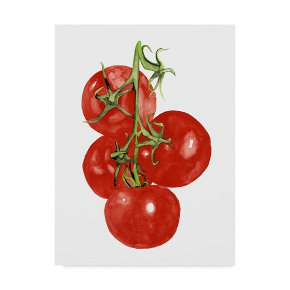 Trademark Fine Art 'Watercolor Veggie IV' Canvas Art by Naomi McCavitt