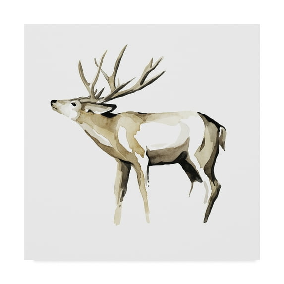 Trademark Fine Art 'Watercolor Woodland I' Canvas Art by Grace Popp