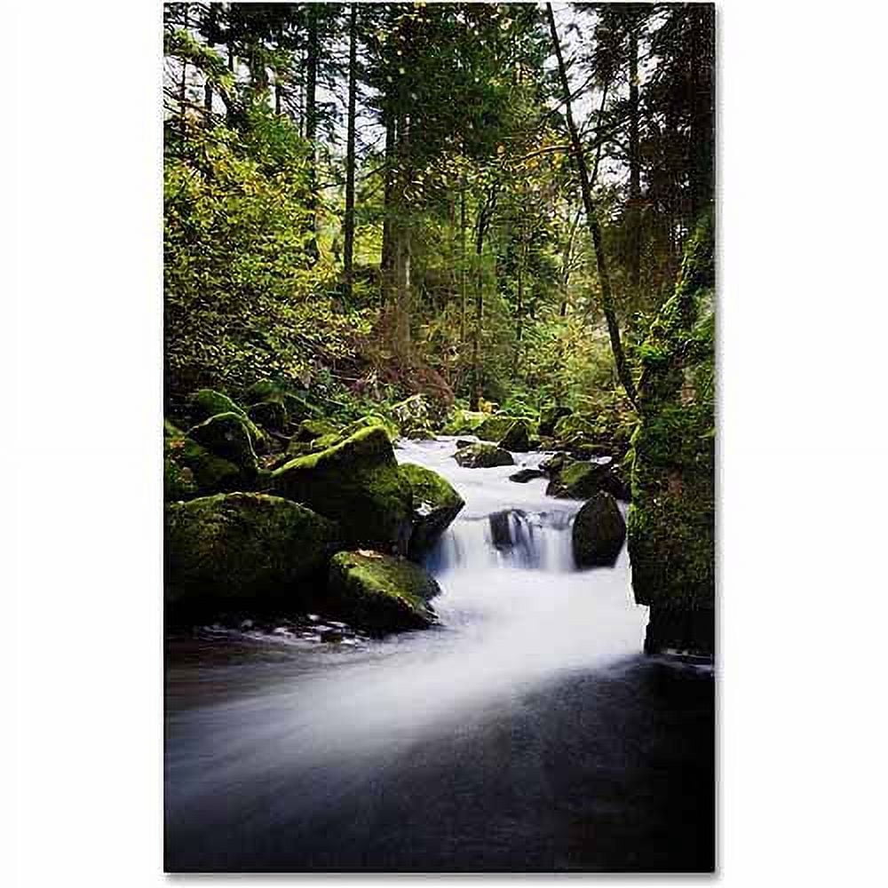 Trademark Fine Art "Waterfall in the Forest" Canvas Art by Philippe Sainte-Laudy