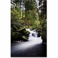 thumbnail image 1 of Trademark Fine Art "Waterfall in the Forest" Canvas Art by Philippe Sainte-Laudy, 1 of 3