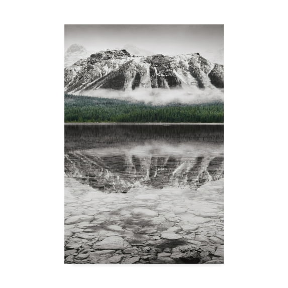 Trademark Fine Art 'Waterfowl Lake Panel II BW with Color' Canvas Art by Alan Majchrowicz