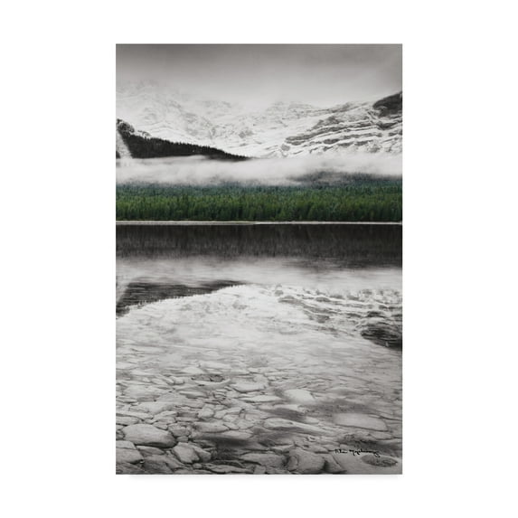 Trademark Fine Art 'Waterfowl Lake Panel III BW with Color' Canvas Art by Alan Majchrowicz