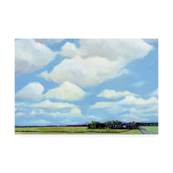 Trademark Fine Art 'Watermill North' Canvas Art by Steven Romm