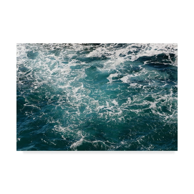 Trademark Fine Art 'Waterworld Overhead' Canvas Art by Beata Czyzowska Young