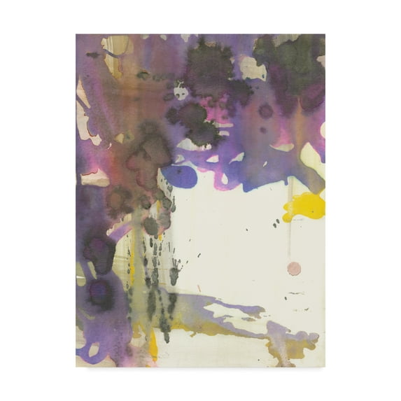 Trademark Fine Art 'Watery Echo' Canvas Art by Jodi Fuchs