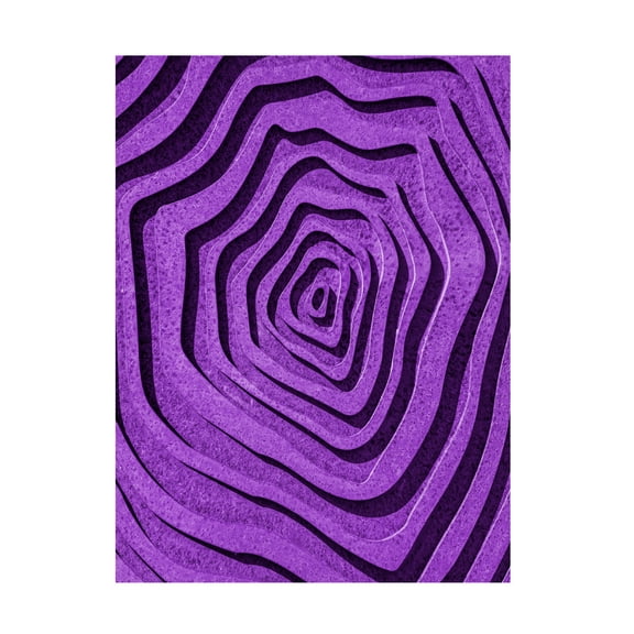 Trademark Fine Art Wayne Pearson Purple Maze Canvas Wall Art