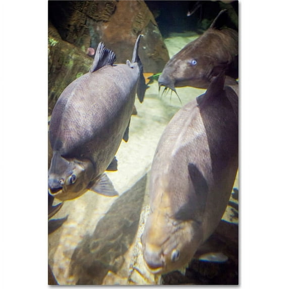 Trademark Fine Art "We Are Family" Canvas Art by Yale Gurney