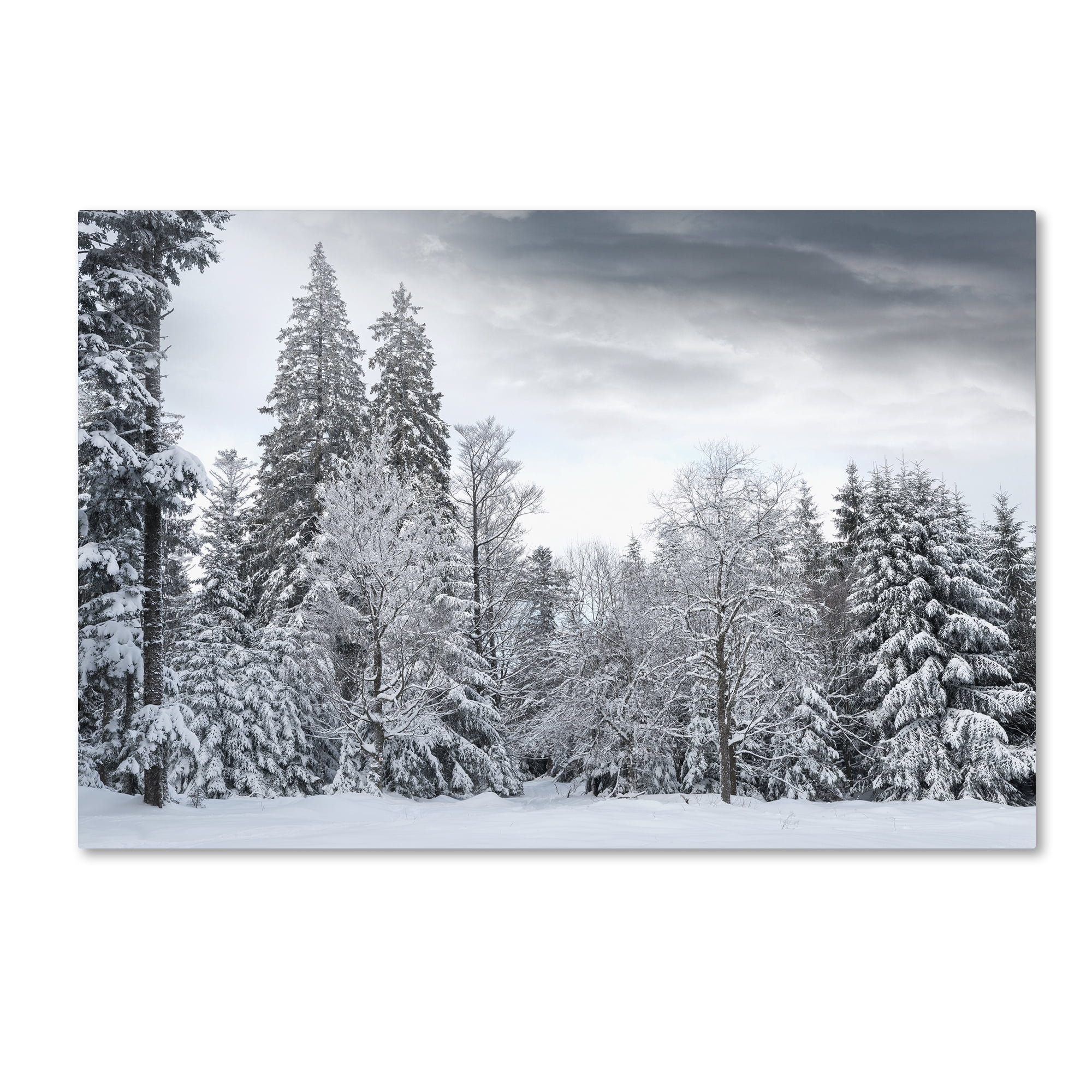 Trademark Fine Art 'We Only Have Forever' Canvas Art by Philippe Sainte-Laudy