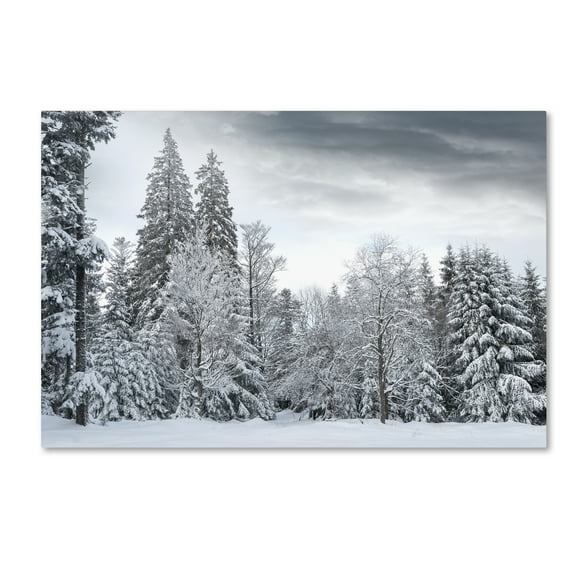 Trademark Fine Art 'We Only Have Forever' Canvas Art by Philippe Sainte-Laudy