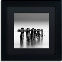 Trademark Fine Art "Weathered" Canvas Art by Dave MacVicar, Black Matte, Black Frame
