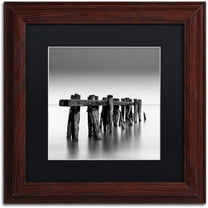 Trademark Fine Art "Weathered" Canvas Art by Dave MacVicar, Black Matte, Wood Frame