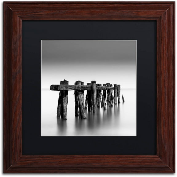 Trademark Fine Art "Weathered" Canvas Art by Dave MacVicar, Black Matte, Wood Frame
